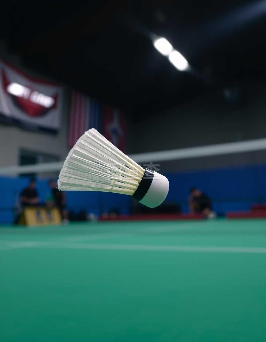 和推进阶段 和推进阶段