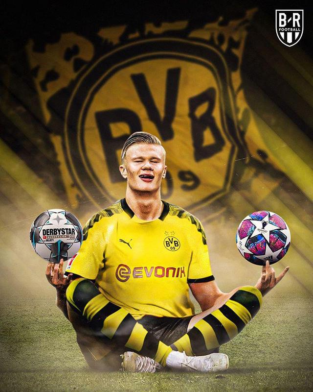 状元杨曦皓 状元杨曦皓